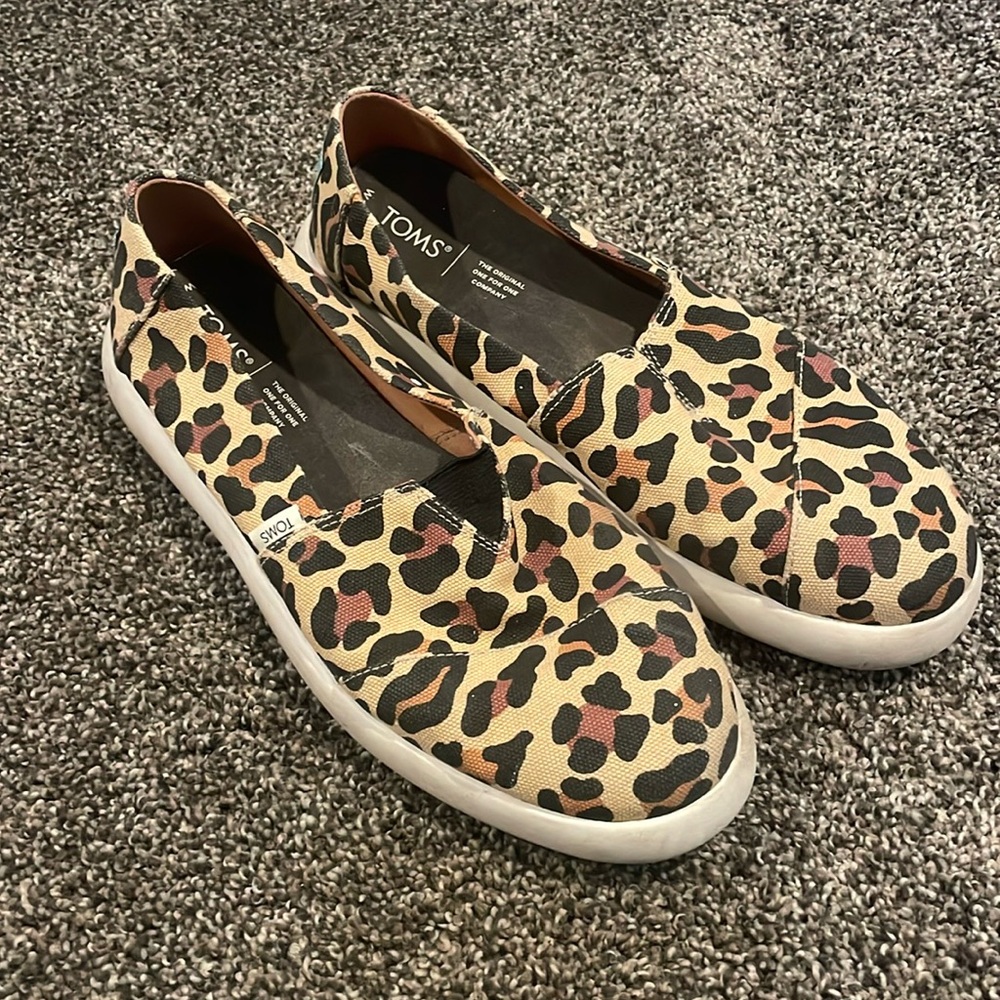 Leopard Tom’s